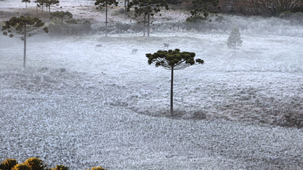 Inverno em Santa Catarina e seus encantos