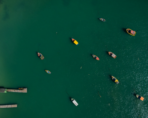 Roteiro Completo de 7 Dias em Florianópolis: Como Explorar a Ilha ao Máximo